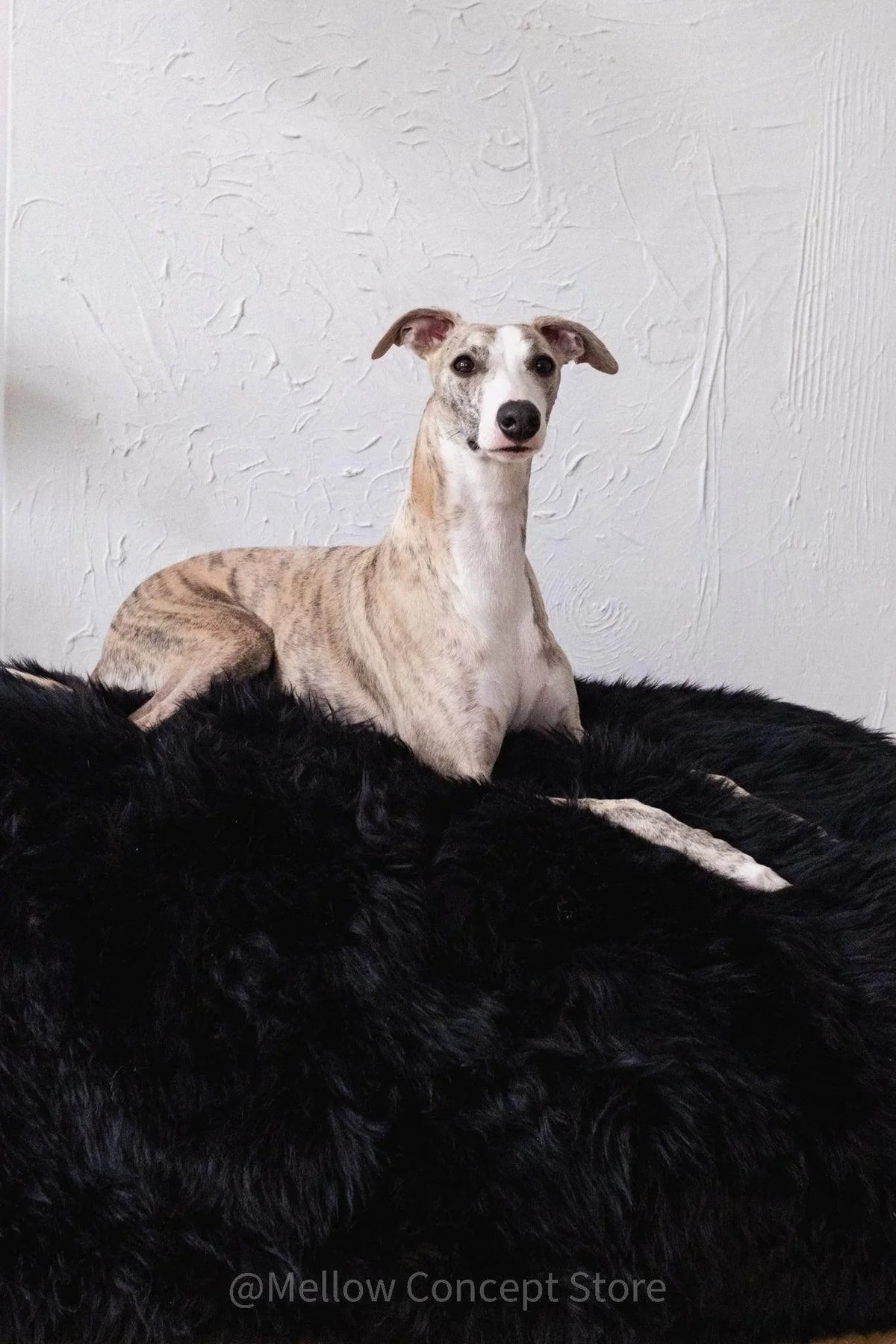 Oval Sheepskin⢠Luxury Pet Bed