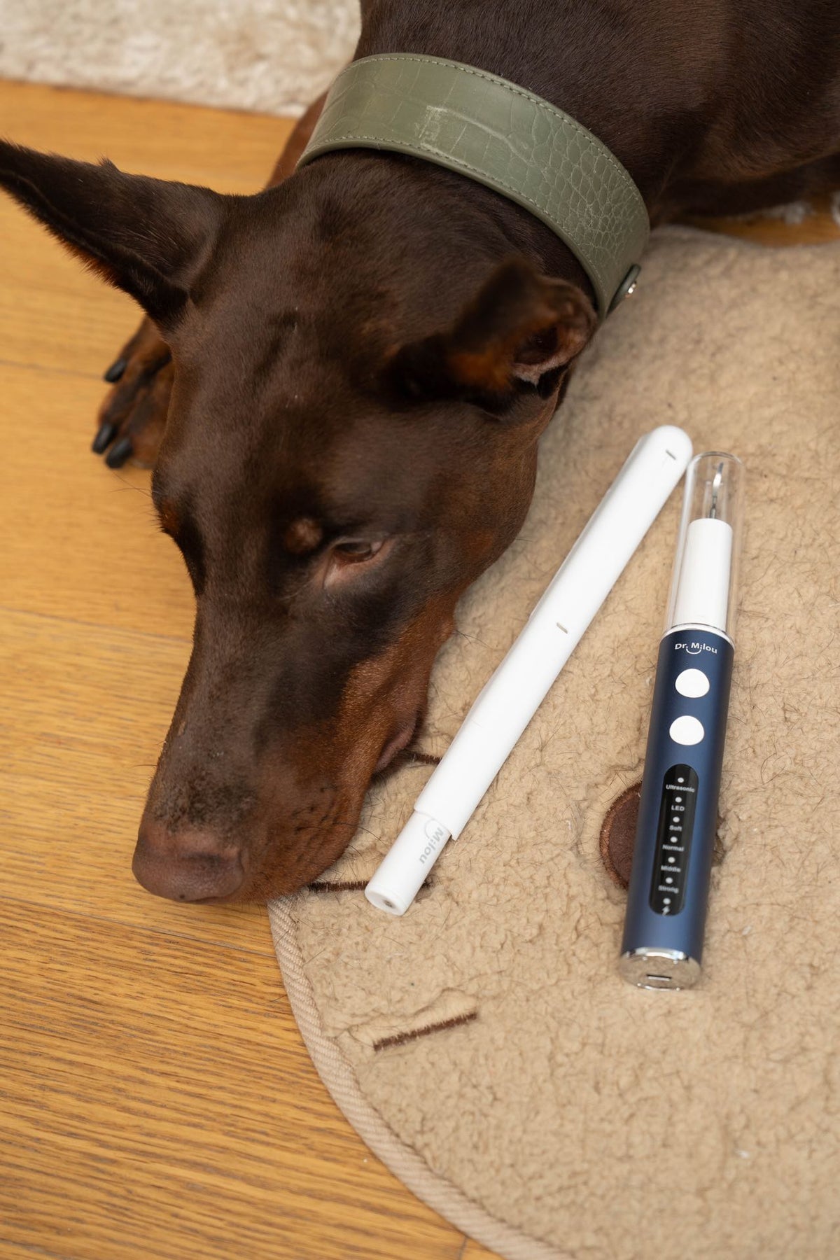 Anesthesia-Free Pet Dental Cleaning Kit: Professional Ultrasonic Tartar Remover & Electric Toothbrush for Dogs & Cats by Dr. MilouĀ®
