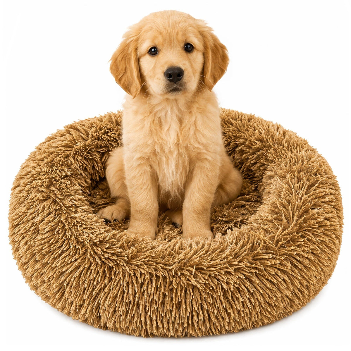 Pet Life ® &