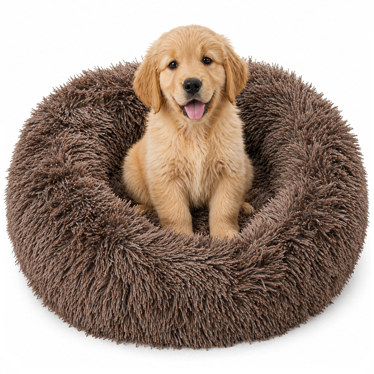 Pet Life ® &