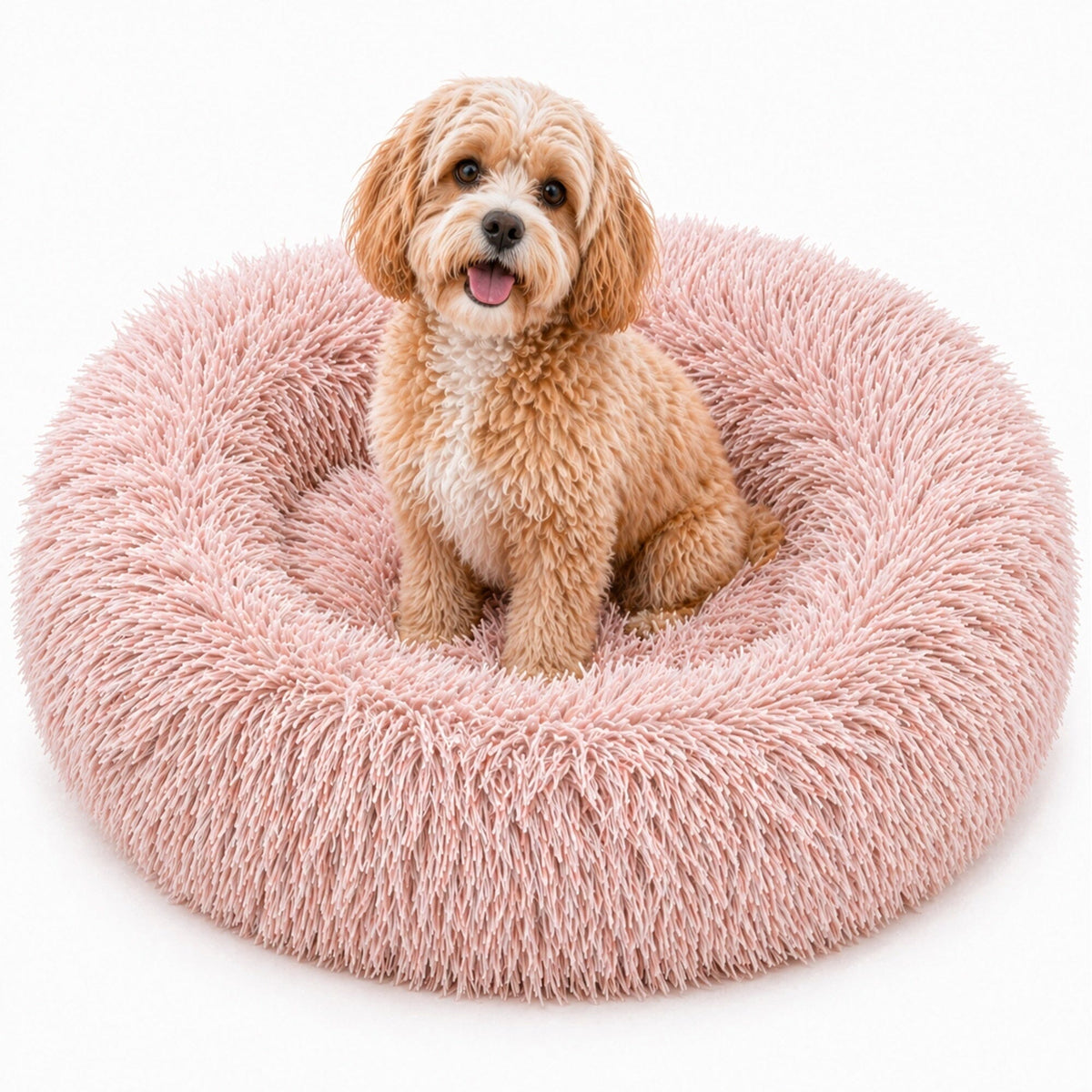 Pet Life ® &