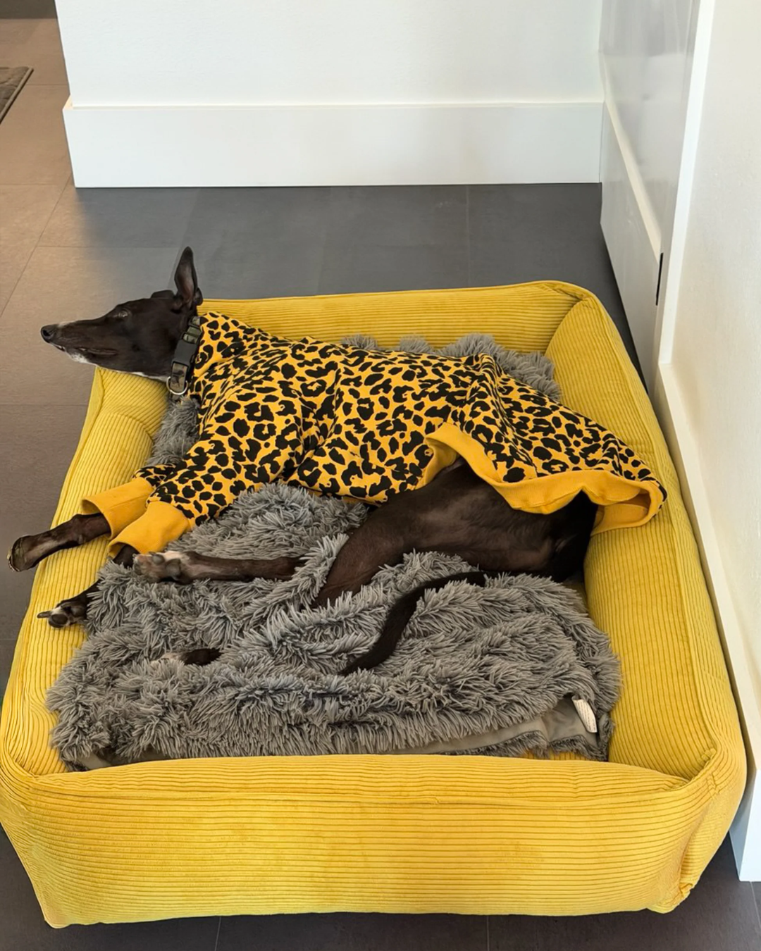 Chester &amp; Lee | Fancy Corduroy Sleeper Dog Bed Sunny Yellow