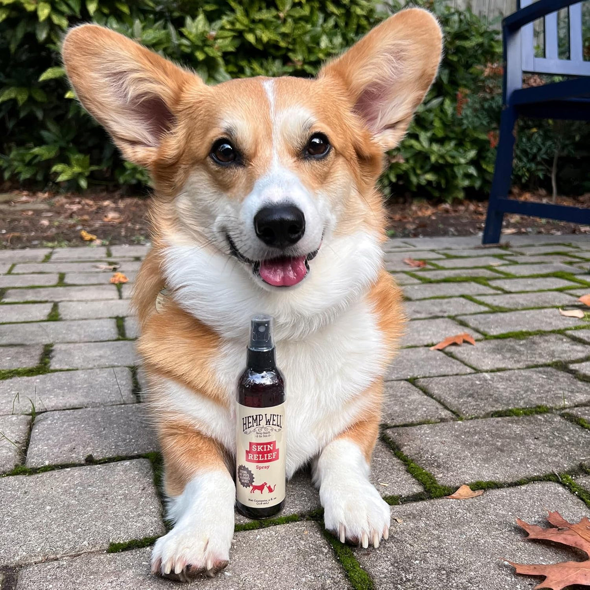Hemp Itch Relief Spray for Dogs &amp; Cats Skin Soothing Support