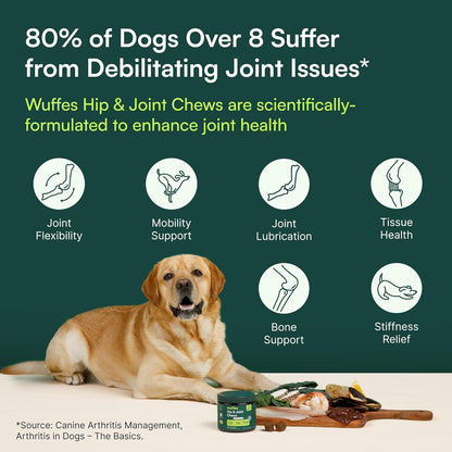 Hip &amp; Joint Supplement &amp; Multivitamin Bundle for Large Breed Dogs