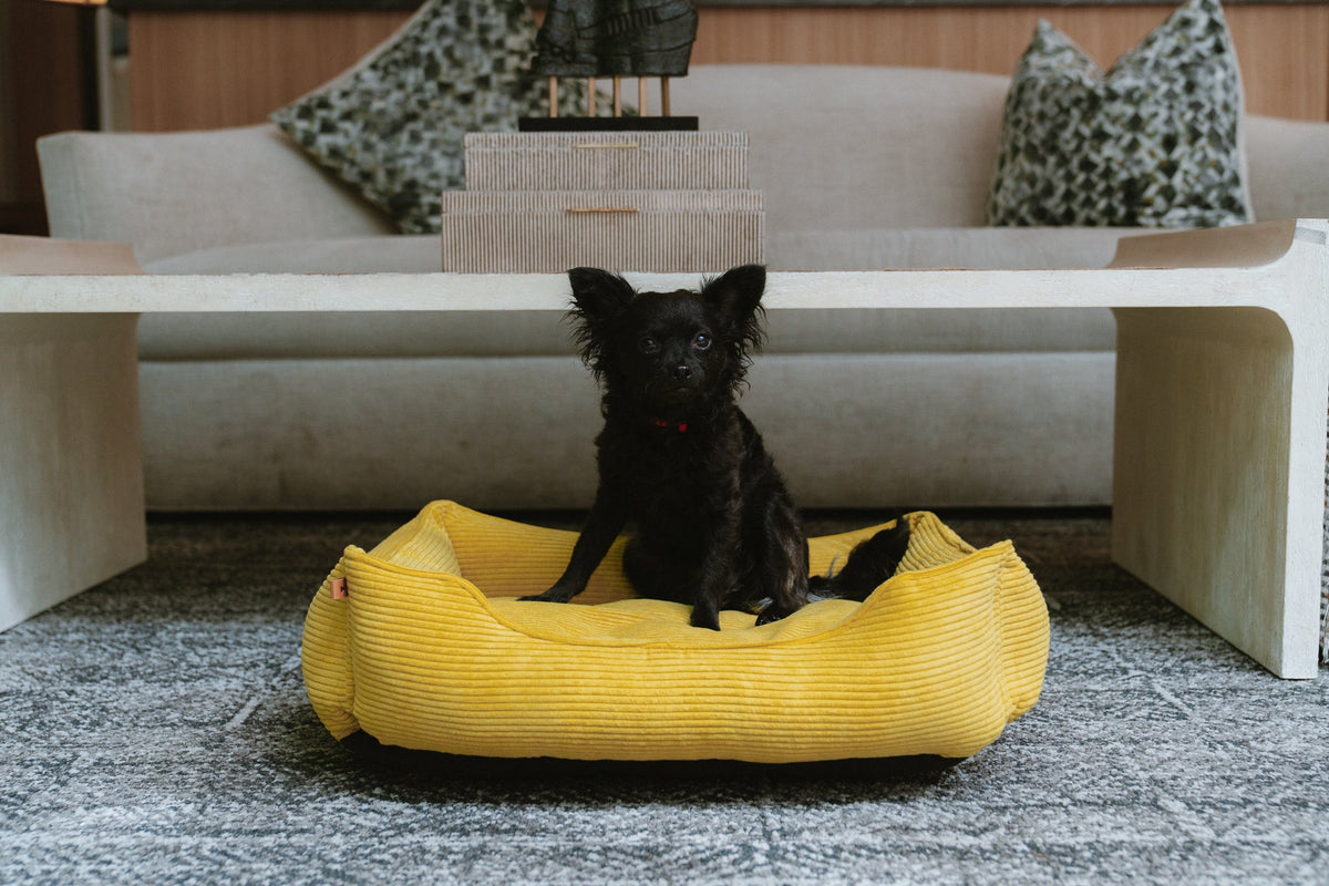 Chester &amp; Lee | Fancy Corduroy Sleeper Dog Bed Sunny Yellow