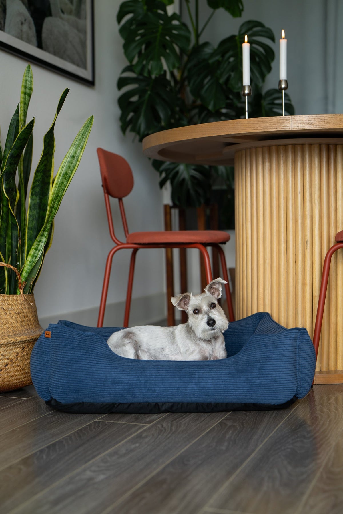 Chester &amp; Lee | Fancy Corduroy Sleeper Dog Bed