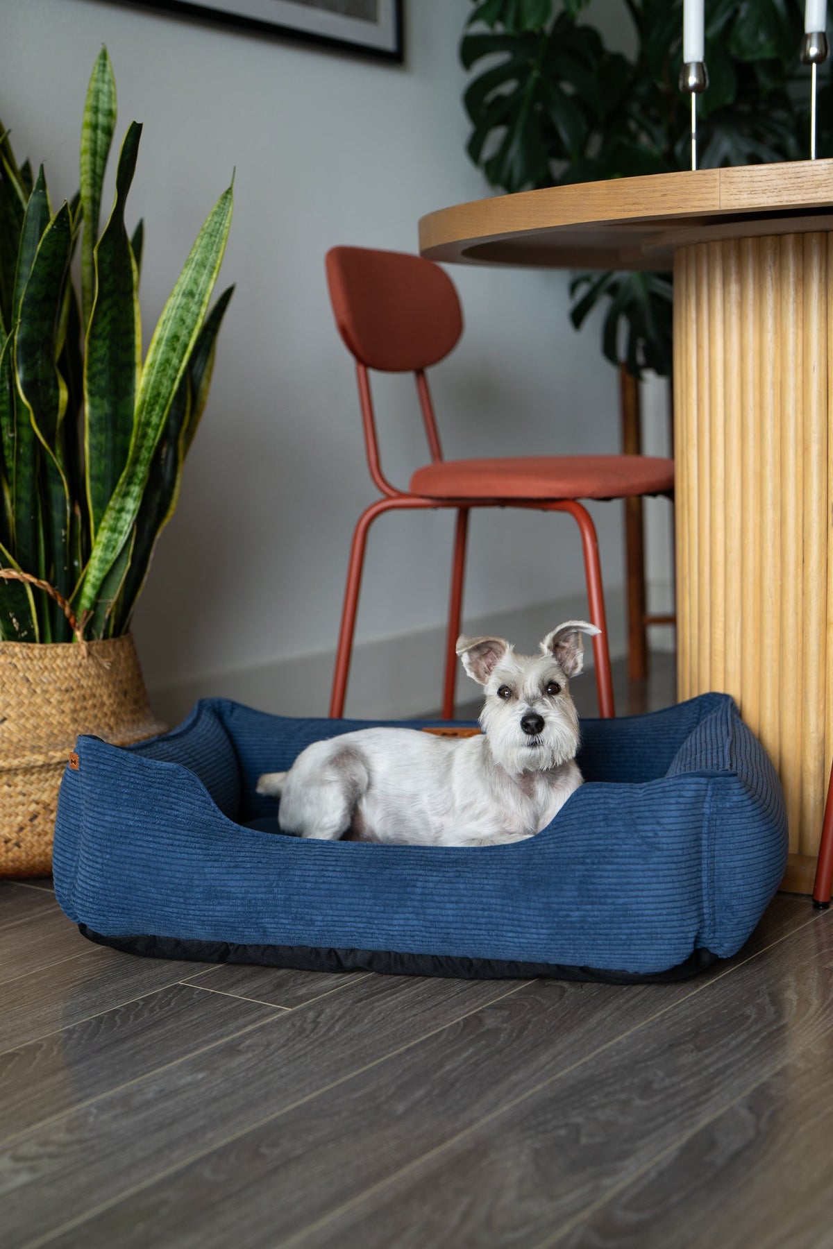 Chester &amp; Lee | Fancy Corduroy Sleeper Dog Bed