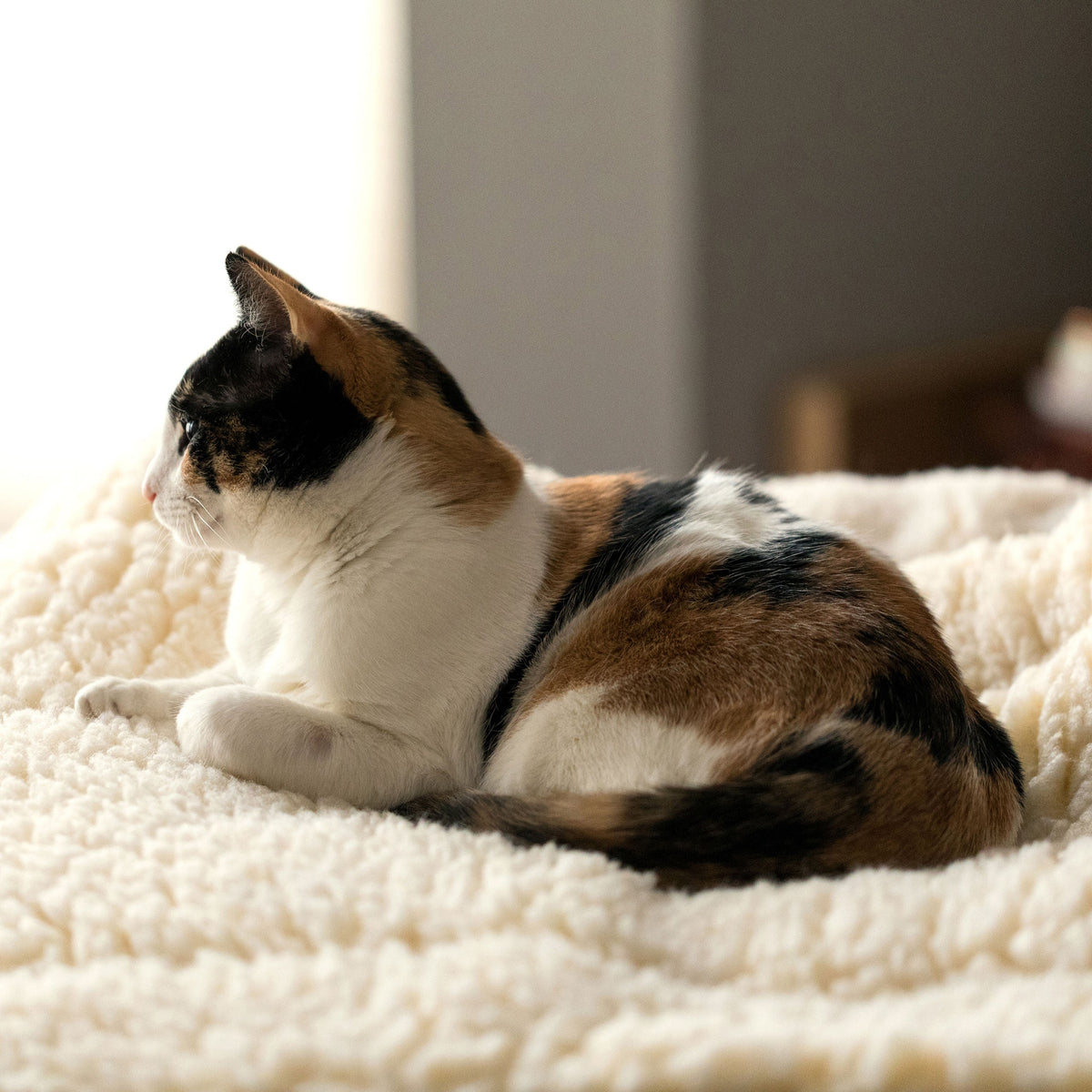 HuggleFleece® Mat Cat &amp; Dog Bed
