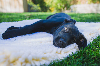 HuggleFleece® Mat Cat &amp; Dog Bed