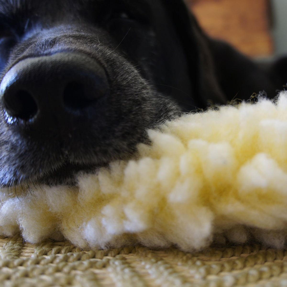 HuggleFleece® Mat Cat &amp; Dog Bed