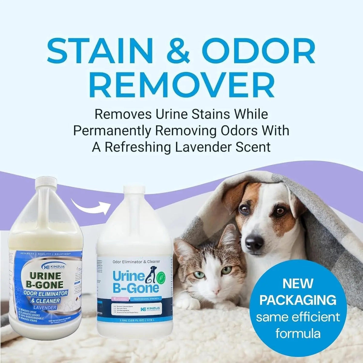 Urine B-Gone Enzyme Pet Odor Eliminator &amp; Stain Remover – Lavender/Citrus Scent