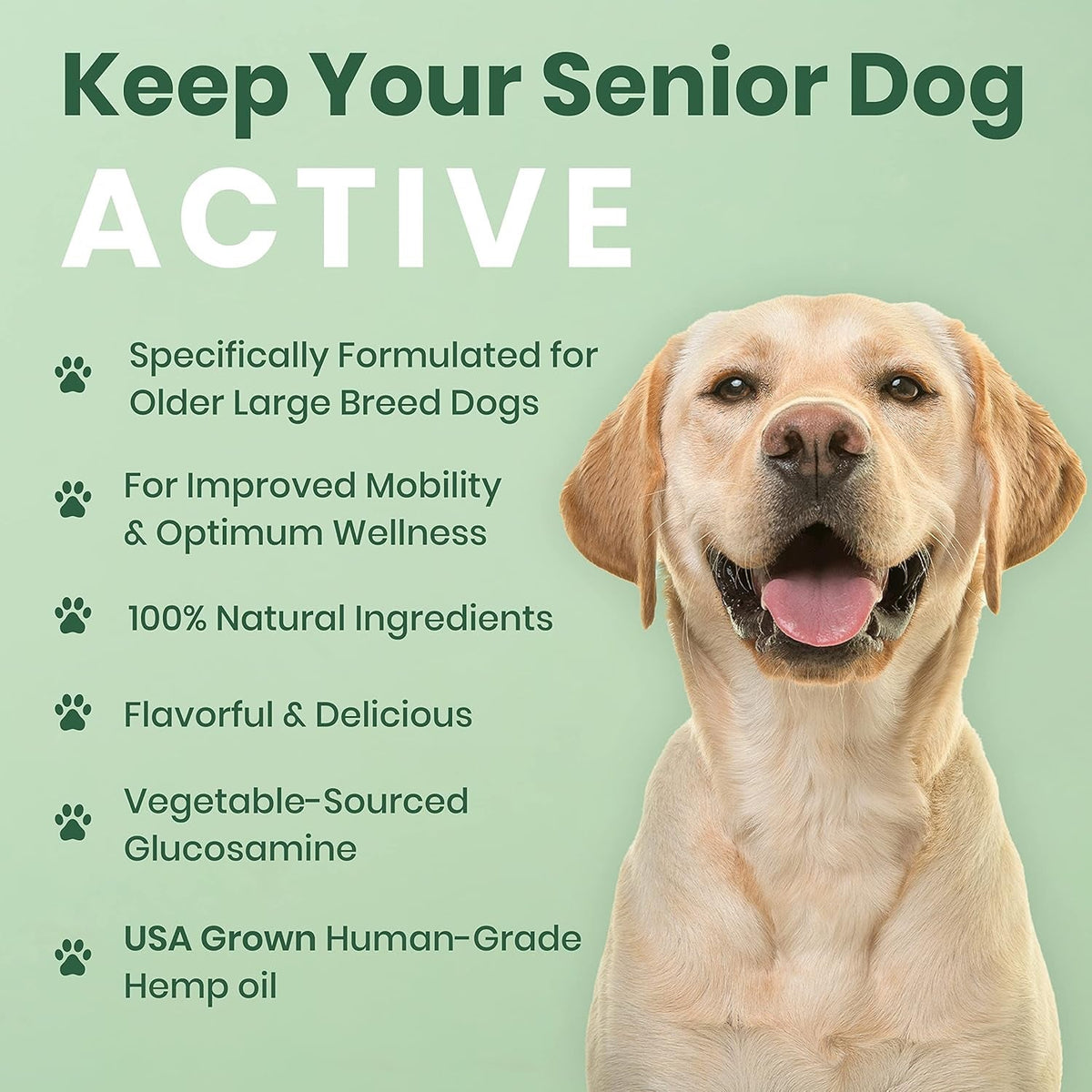 Dog Hip Joint Supplement Hemp Glucosamine Chews Senior Large Breed