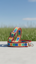 Patterned bungee dog leash