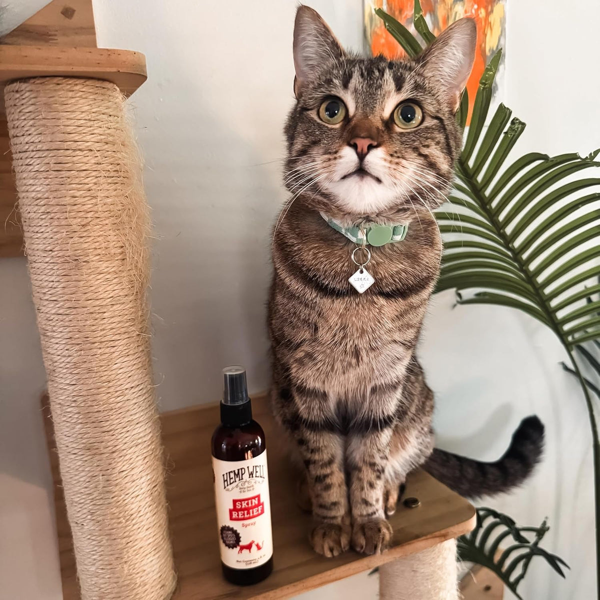 Hemp Itch Relief Spray for Dogs &amp; Cats Skin Soothing Support