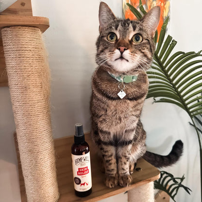 Hemp Itch Relief Spray for Dogs &amp; Cats Skin Soothing Support