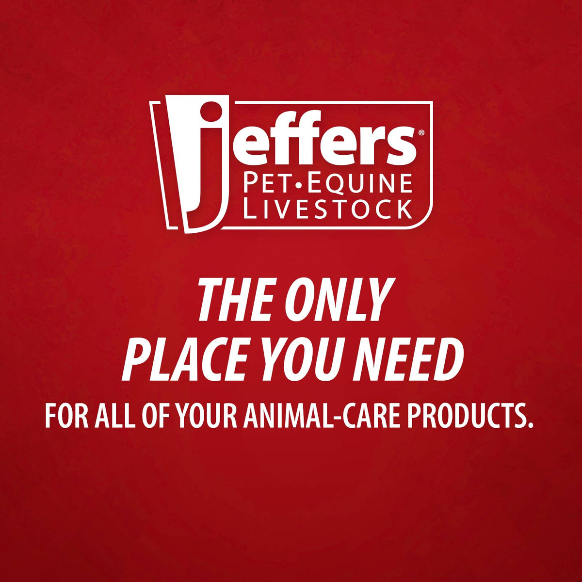 Jeffers Medicated 2% Chlorhexidine Shampoo for Dogs, Cats &amp; Horses
