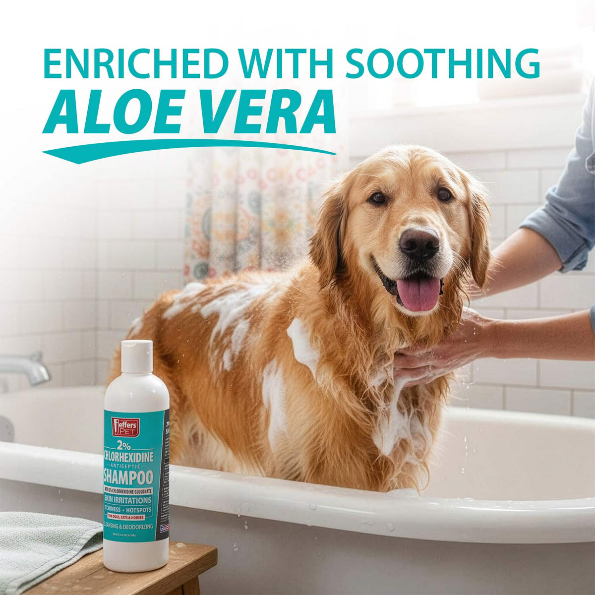 Jeffers Medicated 2% Chlorhexidine Shampoo for Dogs, Cats &amp; Horses
