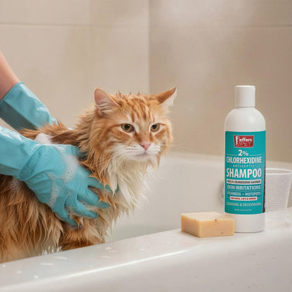 Jeffers Medicated 2% Chlorhexidine Shampoo for Dogs, Cats &amp; Horses