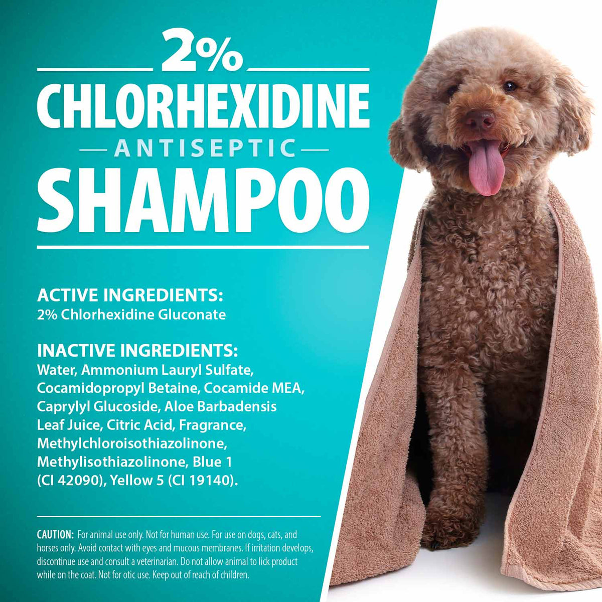 Jeffers Medicated 2% Chlorhexidine Shampoo for Dogs, Cats &amp; Horses