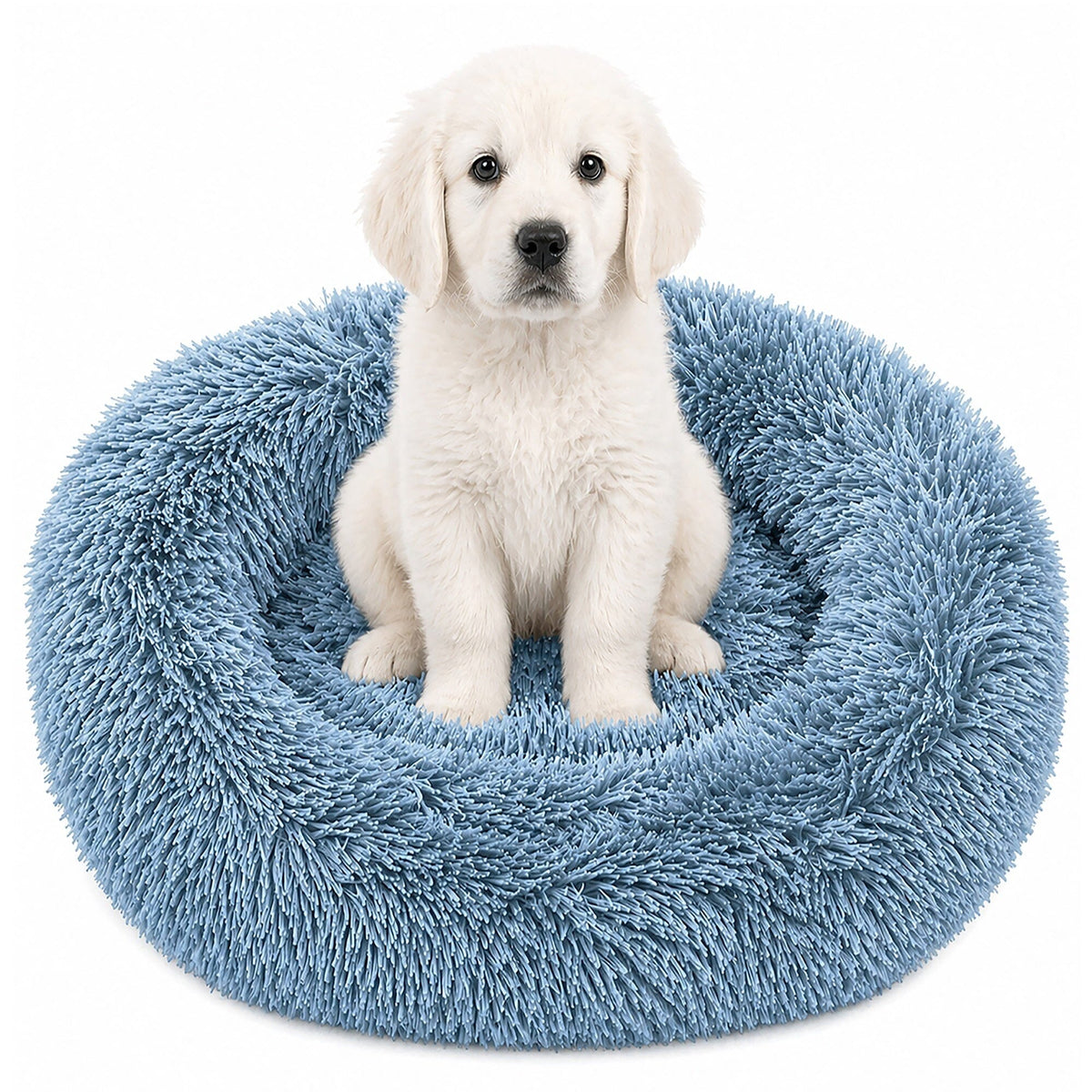 Pet Life ® &