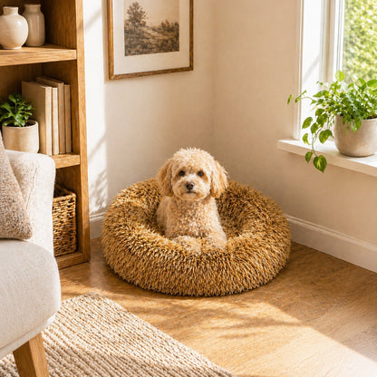Pet Life ® &